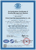 Κίνα China Chips Star Semiconductor Co., Ltd. Πιστοποιήσεις